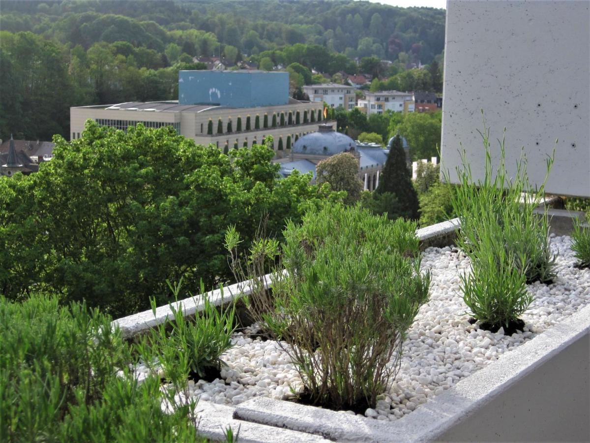 Panoramablick * Baden-Baden